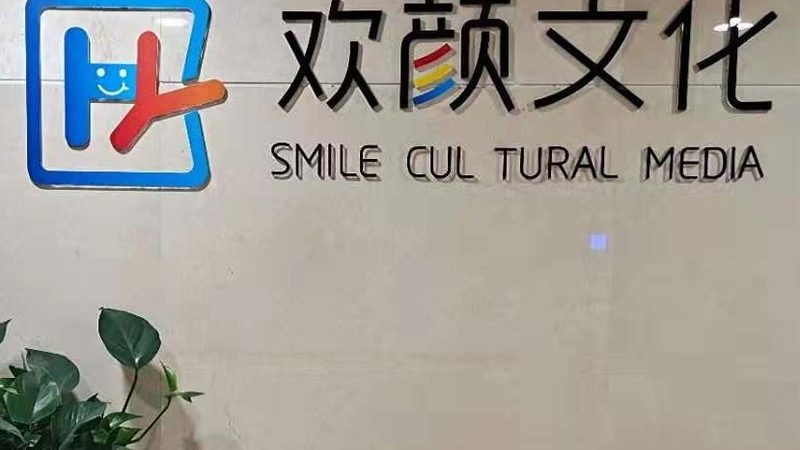 媒介投放案例分析：揭秘高效传播的秘诀