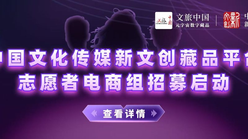 纪录片拍摄选材：优缺点与策略解析